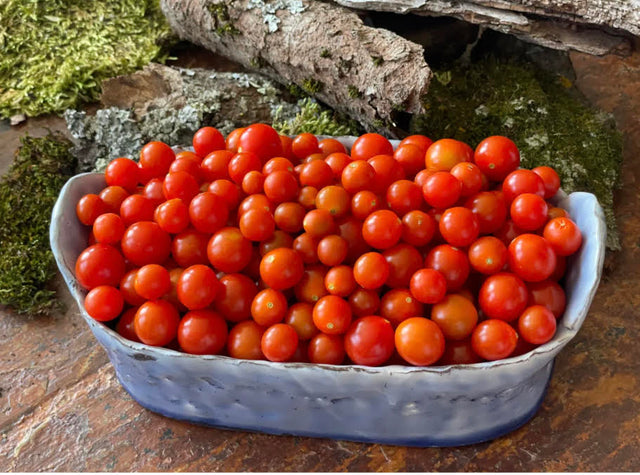 Cherry Tomatoes