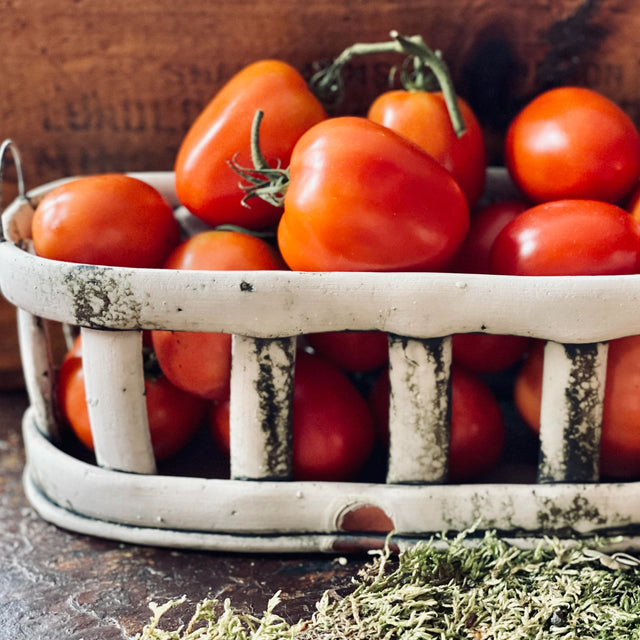 Sauce Tomatoes