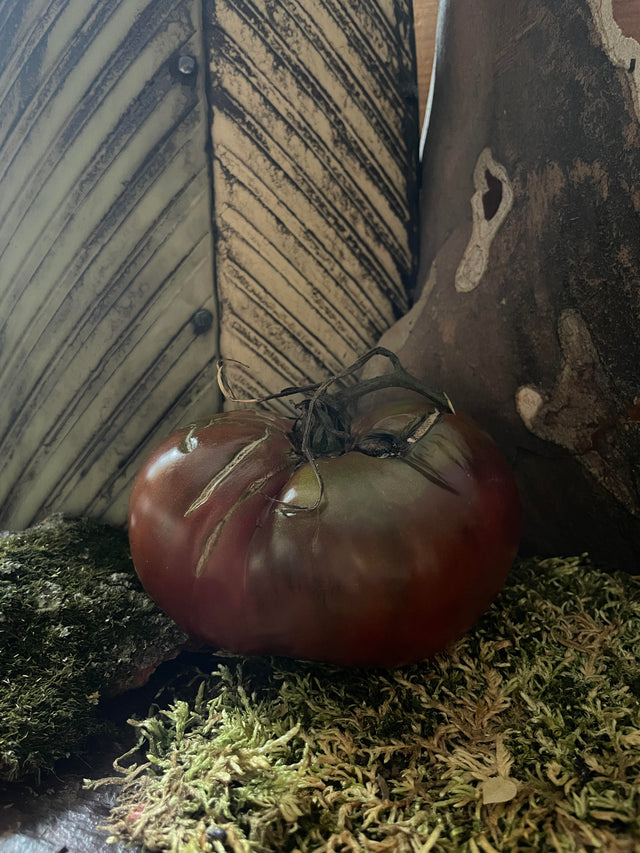 Black Tomatoes