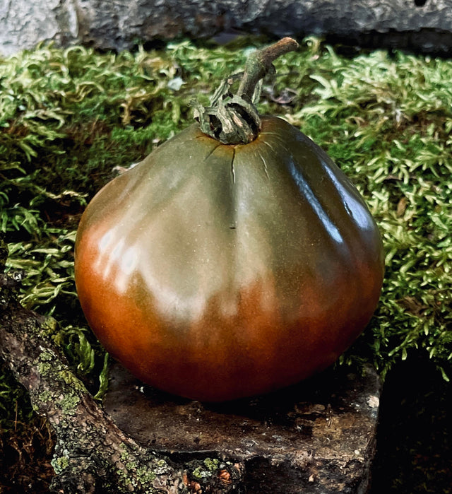 Black Tomatoes