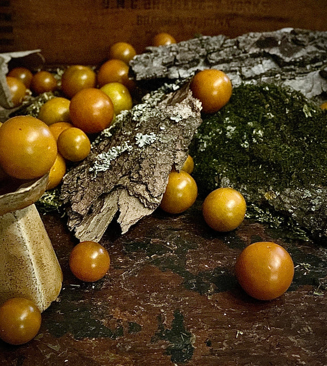 Cherry Tomatoes