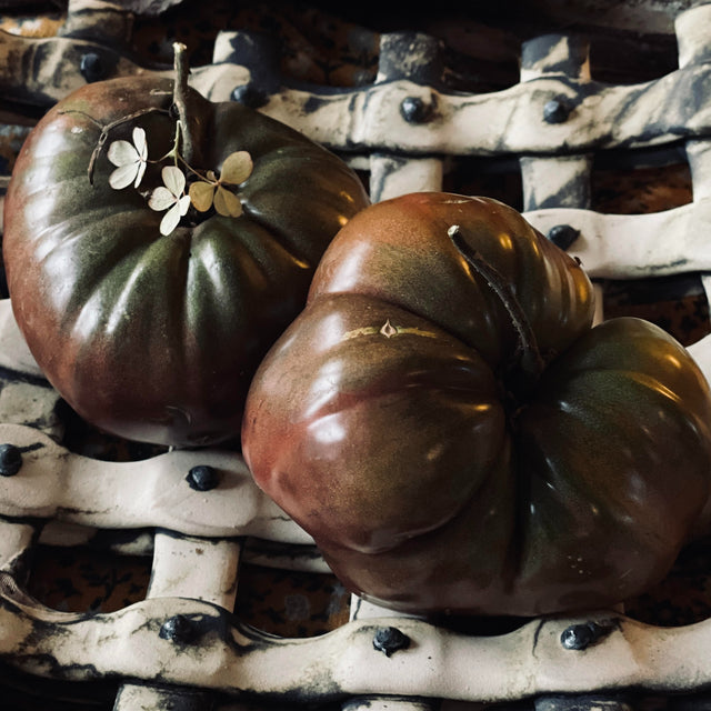 Sauce Tomatoes